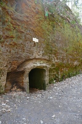 p1080440-zmeneno-na-stredni.jpeg