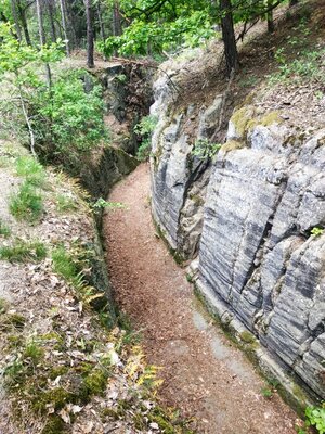img-20220512-114925-zmeneno-na-stredni.jpeg
