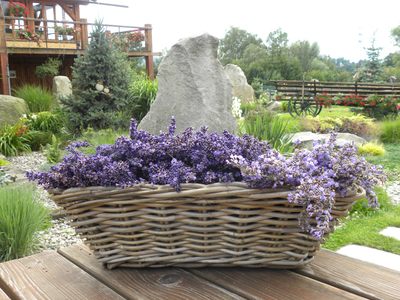 Apartmány na Farmě Wenet