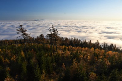Rozhledna na Ruprechtickém Špičáku 6