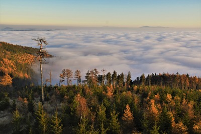 Rozhledna na Ruprechtickém Špičáku 5