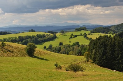 Javoří hory nad Šonovem