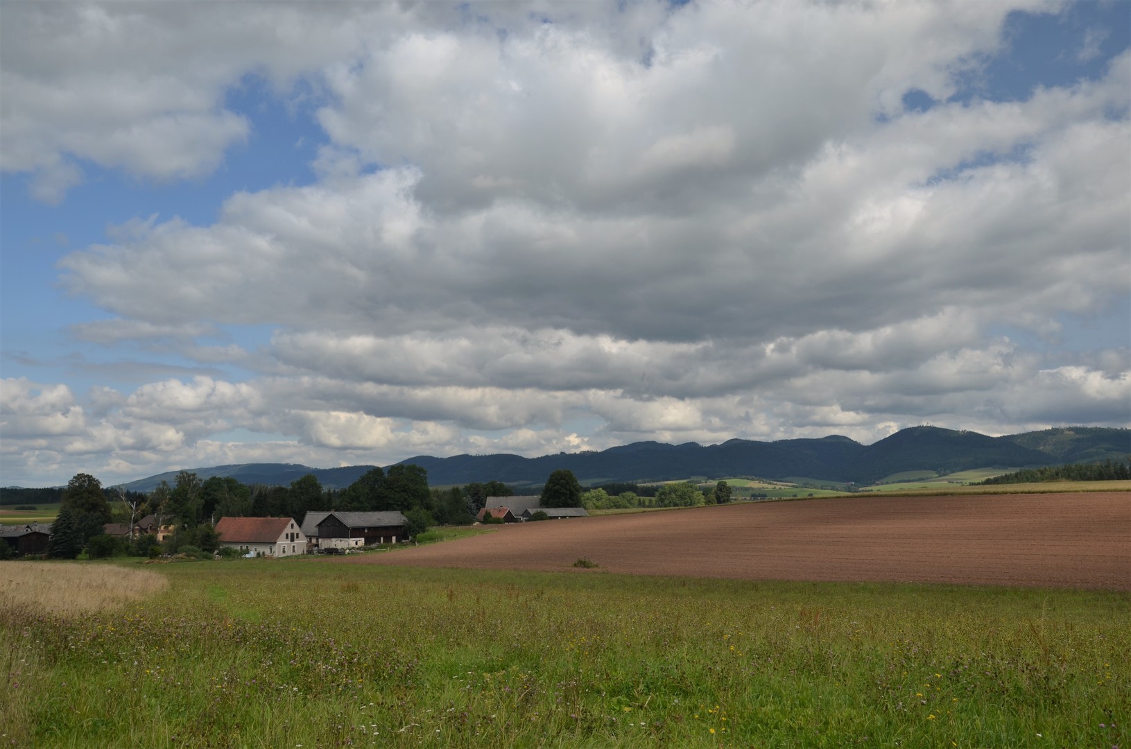 Jetřichov - Javoří hory 2