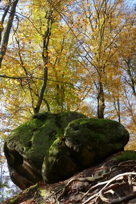 Skalní zátiší u turistické cesty