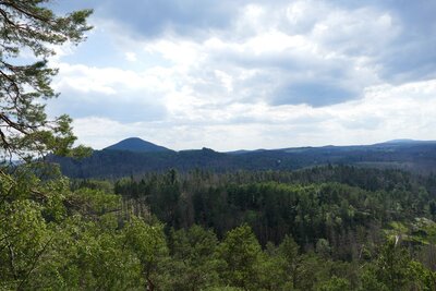 Růžovský vrh z cesty mezi Šaunštejnem a Malou Pravčickou bránou
