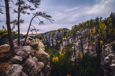 Kamenec v Teplických skalách