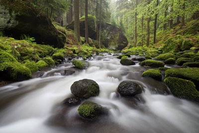 Srbská Kamenice, foto M. Rak