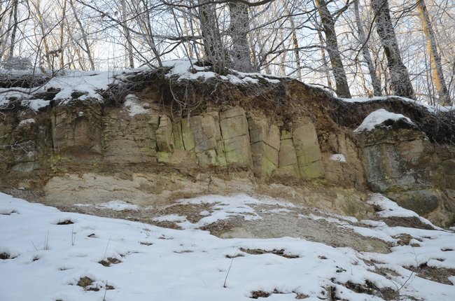 Předvánoční geologická vycházka k Mořské transgresi