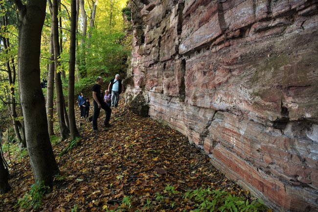 Geologická exkurze