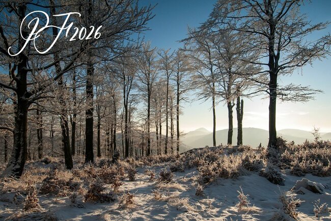 Infookénko I - 2026