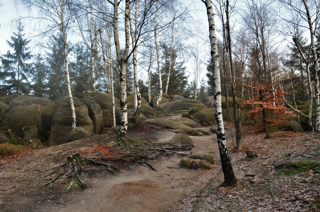 Wall Circuit - from Police via Křinice, Radków and Table Mountains 