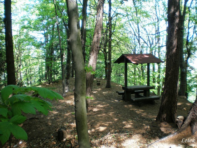 Okruh Hvězda - Honský špičák