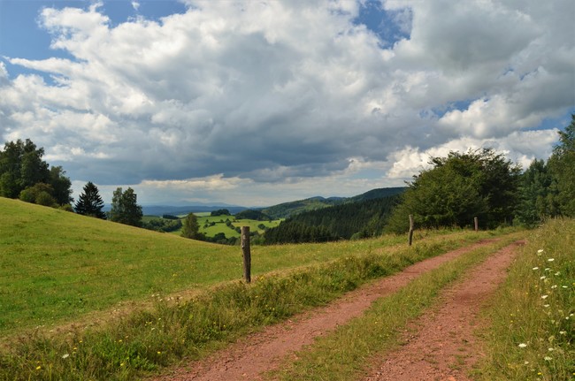 From the Javoří Mountains to Machov 