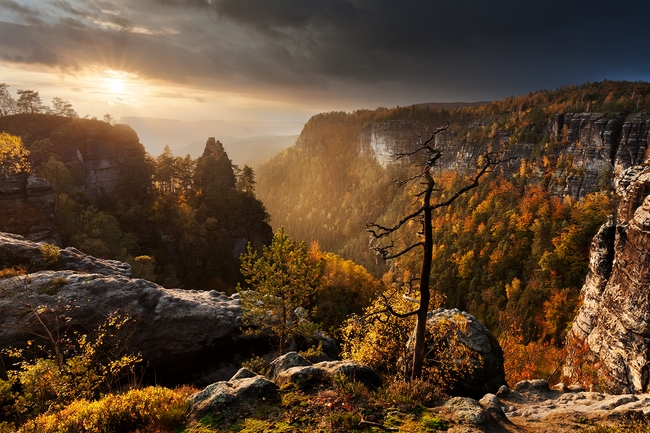 Natur