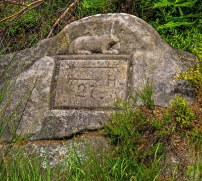 Hvězda - Hejšovina