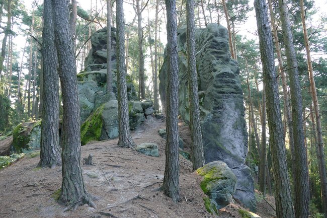 Přivýšina a Brada