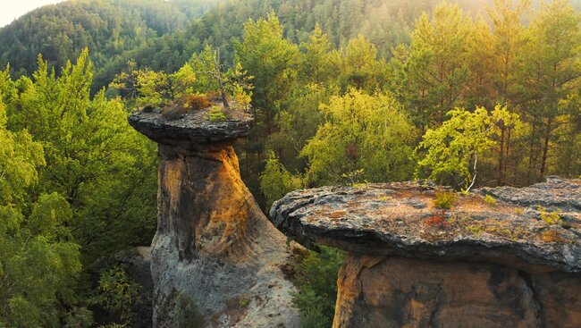 Nature