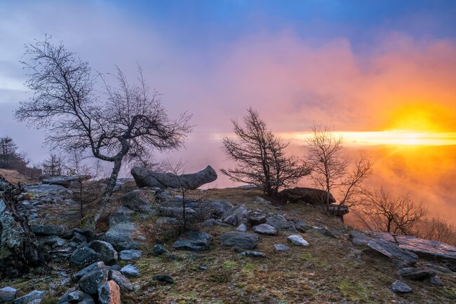 Děčínský Sněžník