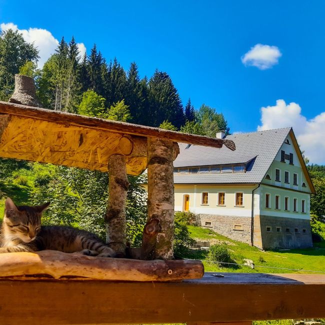 Apartmány Údolí Adršpach