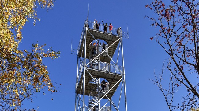 Žaltman lookout tower 